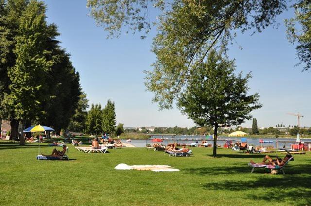 Schoenes Living Am Donauufer Bécs Kültér fotó