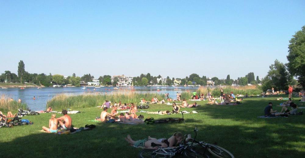 Schoenes Living Am Donauufer Bécs Kültér fotó